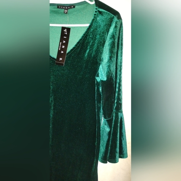 Tiana Dress; Size: S - Picture 3 of 11